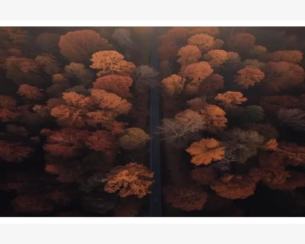 MT4导出数据计算品种相关性系数实操方法_理解相关性系数在交易中的实际意义_3