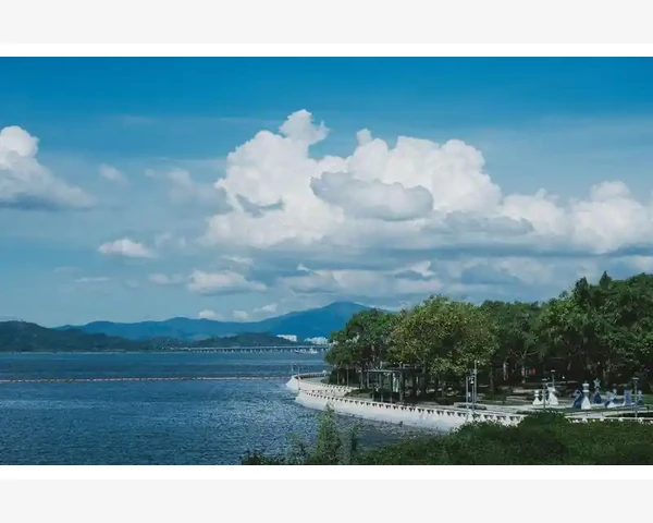 MT4指标双线模式切换方法详解以MACD为例_理解MACD指标的两种显示模式_5