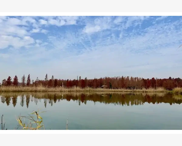 MT4专家顾问功能从加载到自动化交易全流程_平滑处理在不同交易风格中的实际应用差异