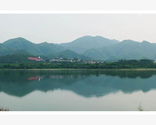 MT4市场报价窗口布局调整与自定义设置_MT4中夏普比率的计算方式与特点