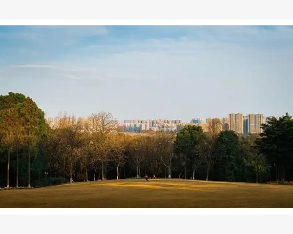 MT4工具栏显示内容自定义调整方法_预防K线缺失的日常维护习惯