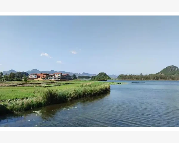 MT4手机端运行卡顿原因与提速方法全解析_订单状态颜色变化和声音提示辅助判断