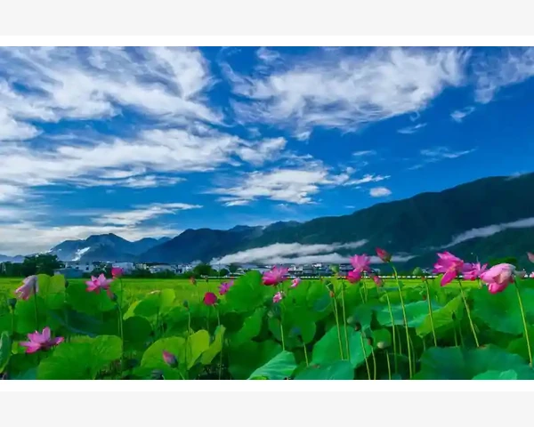 MT4多指标分散到副图窗口解决图表拥挤问题_为什么指标堆叠会让图表变得难以阅读_3