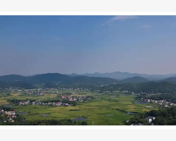 MT4指标加载报错无法加载外部函数库文件排查修复_理解“无法加载外部函数”错误的根源_1