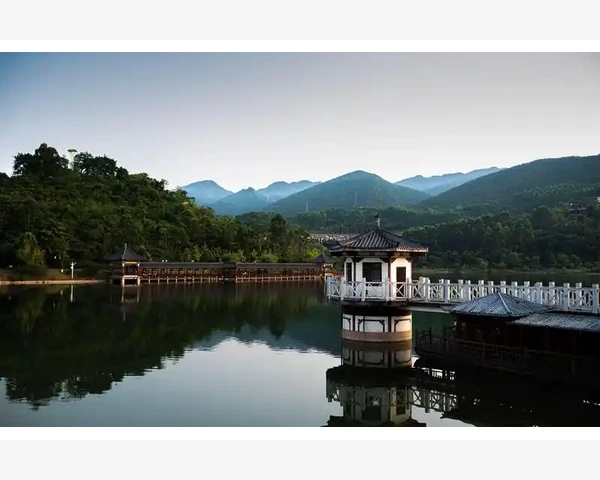 MT4多环境账户切换管理技巧_技术指标组合与参数个性化保存