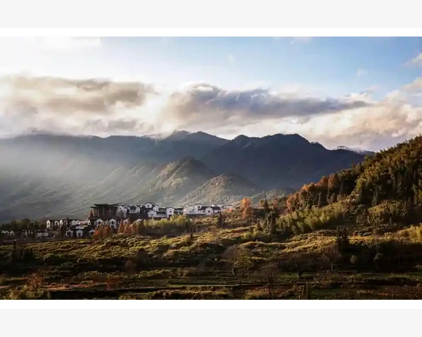 MT4市场报价窗口添加五个品种同时监控_如何利用大周期趋势线提升交易胜率
