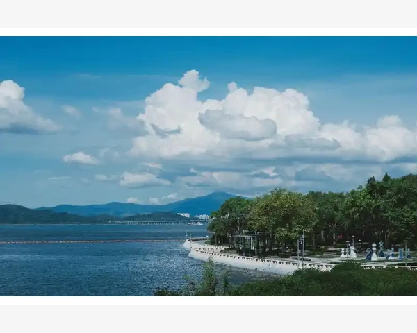 MT4指标循环计算对性能的真实影响_功能精简的具体表现:哪些功能被拿掉了