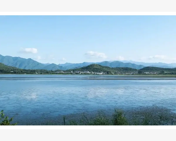 MT4指标参数优化结果保存与报告导出方法_双击订单获取完整成交明细