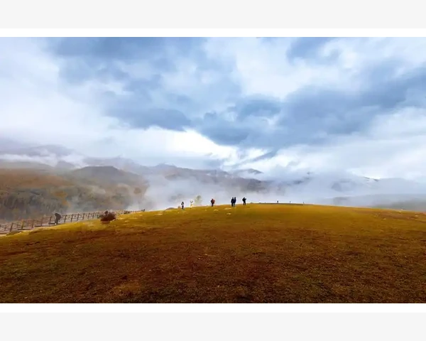 MT4指标加载后图表空白原因与时间框架匹配检测_排查经纪商服务器状态与维护